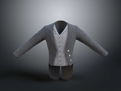 Grey Long Sleeve Coat Paired With Light Colored Vest For Daily Wear 3d model