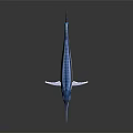 Striking Blue Swordfish With Open Mouth White Underbelly And Shiny Body On Dark Background