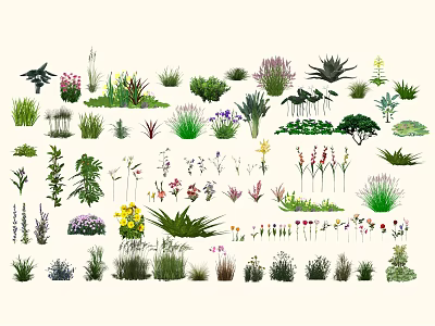 Various Types of Flowers and Plants Including Grasses and Ornamental Species 3d model