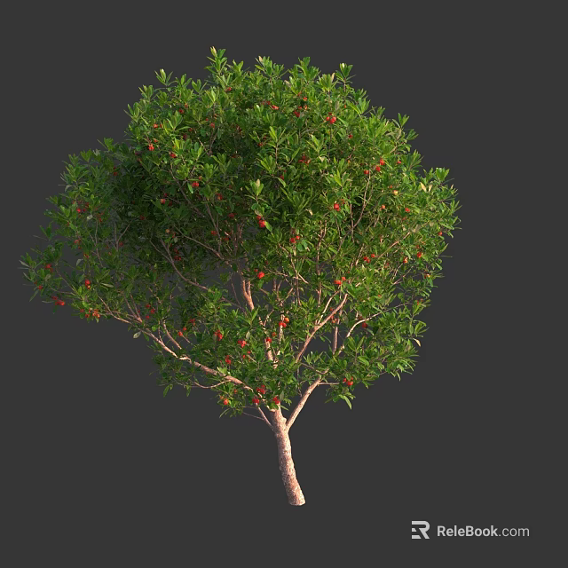 Lush Vibrant Arbor With Green Leaves Red Fruits And Brown Trunk 3d model 