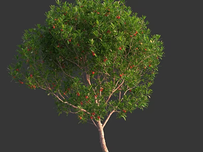 Lush Vibrant Arbor With Green Leaves Red Fruits And Brown Trunk 3d model