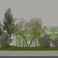 Diverse Plant Combination With Different Trees Shrubs Yellow Purple Flowers Green Bamboo On Green Grass