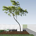 Graceful Arbor With Green Leaves And White Flowers Against Blue Sky