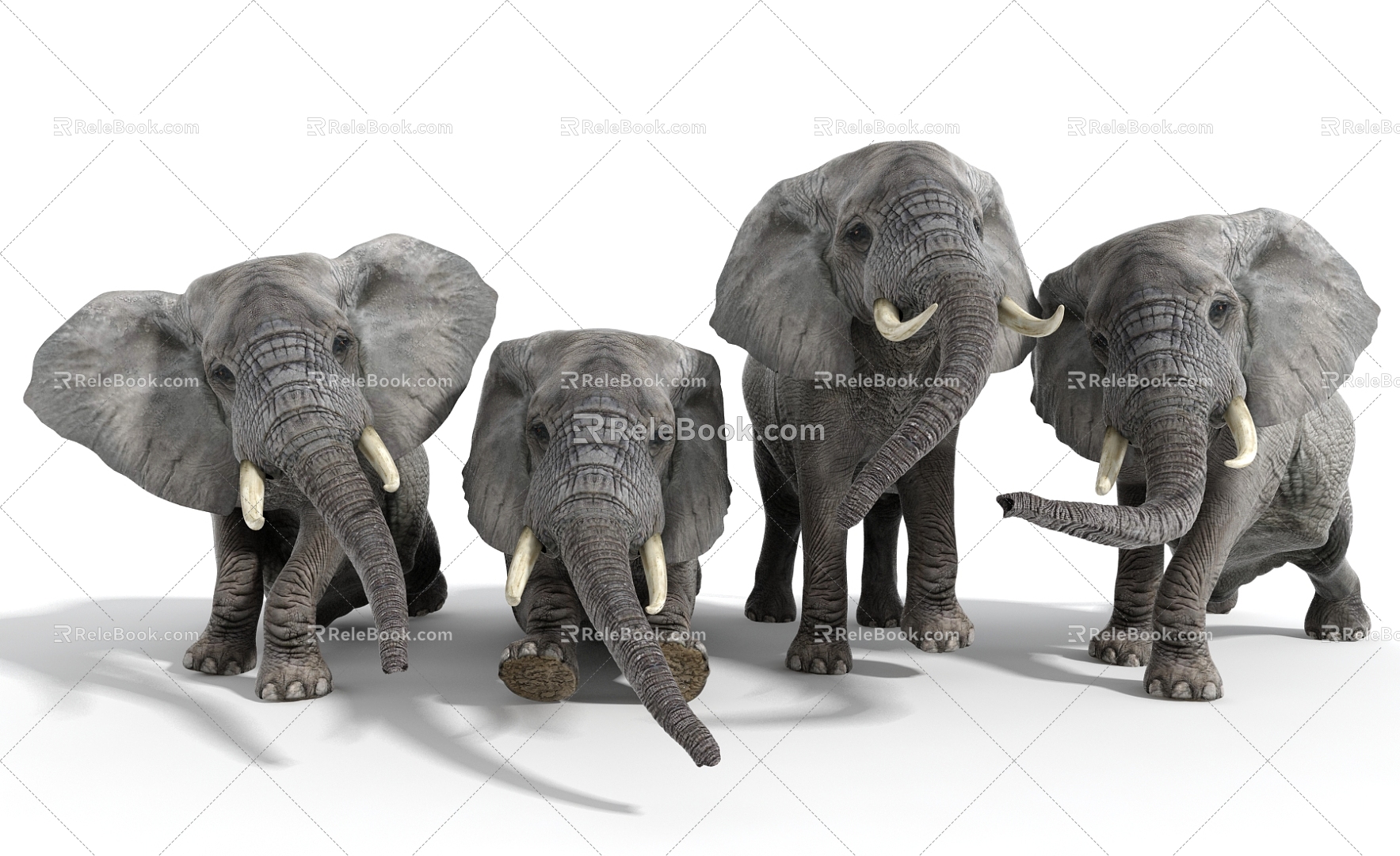 Modern Elephant Dynamic Elephant 3d model