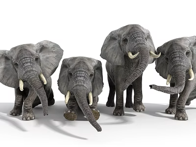 Diverse Reptile Species Showcasing Various Sizes And Natural Behaviors In Habitat 3d model