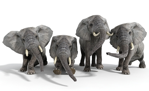 Modern Elephant Dynamic Elephant 3d model