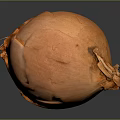 Fresh Orange Vegetable Onion Close Up View with Textured Skin on Dark Background