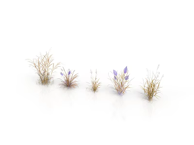 Different Plants with Purple Flowers and Grass Arranged in a Row on White Background 3d model