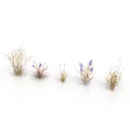 Different Plants with Purple Flowers and Grass Arranged in a Row on White Background