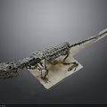 Complete Dinosaur Skeleton Fossil Displayed With Detailed Bone Structure On White Base