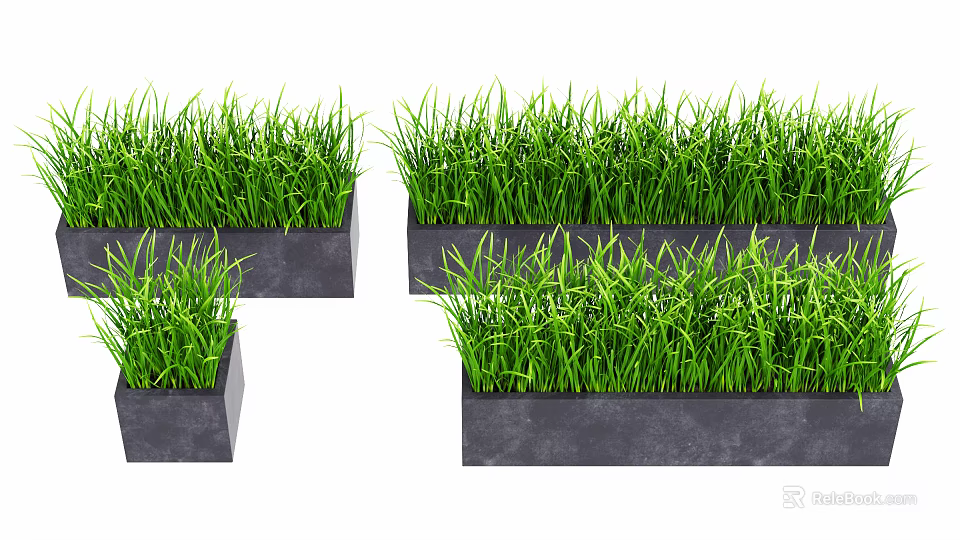 Multiple Potted Plants with Green Grass in Black Rectangular Pots on White Background 3d model 