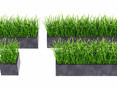 Multiple Potted Plants with Green Grass in Black Rectangular Pots on White Background 3d model