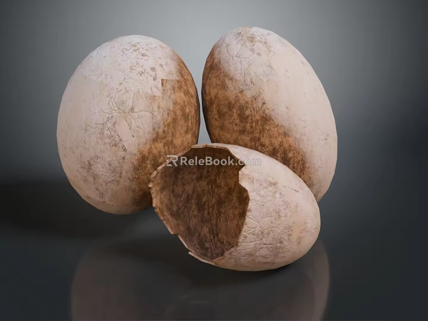 Egg Cartoon Egg with Egg Shell Chick Quail Egg Duck Egg Goose Egg 3d model