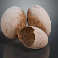 Egg Cartoon Egg with Egg Shell Chick Quail Egg Duck Egg Goose Egg 3d model
