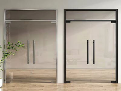 Double Glass Doors With Silver And Black Frames In Modern Interior Design 3d model