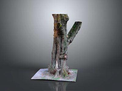 Natural Wooden Tree Stump Decoration With Solid Stone Base And Rough Texture 3d model