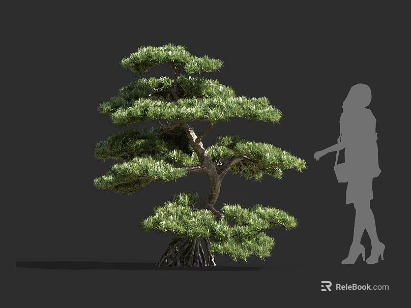 Lush Layered Bonsai Arbor With Exposed Roots And Green Foliage Near Human Silhouette 3d model 