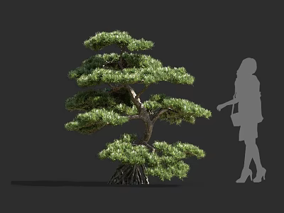 Lush Layered Bonsai Arbor With Exposed Roots And Green Foliage Near Human Silhouette 3d model