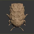 Detailed Bronze Beetle Sculpture With Textured Surface And Black Base Reflection