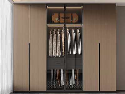 Modern Wardrobe Interior Design With Glass Doors Hanging Clothes And Storage 3d model