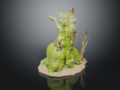 Natural Wood and Stone Decorative Piece with Mossy Stump Sandy Base and Twigs 3d model