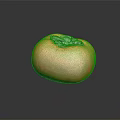 Ripe Persimmon Orange Round Fruit With Green Leaves On Top On Dark Background And Reflection