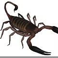 Scorpion Reptile With Brown And Yellow Striped Body Large Black Claws Curved Tail In Grassland