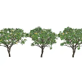 Three Arbor Trees With Lush Green Foliage And Brown Trunks 3d model