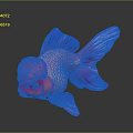 Vibrant Goldfish With Red Pink Body Purple Fins And Bulbous Head On Dark Background