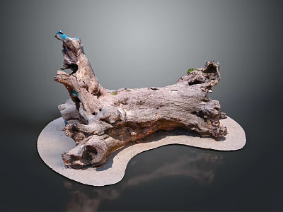 Rustic Wooden Tree Stump Decorative Art With Stone Base And Natural Grain Texture 3d model