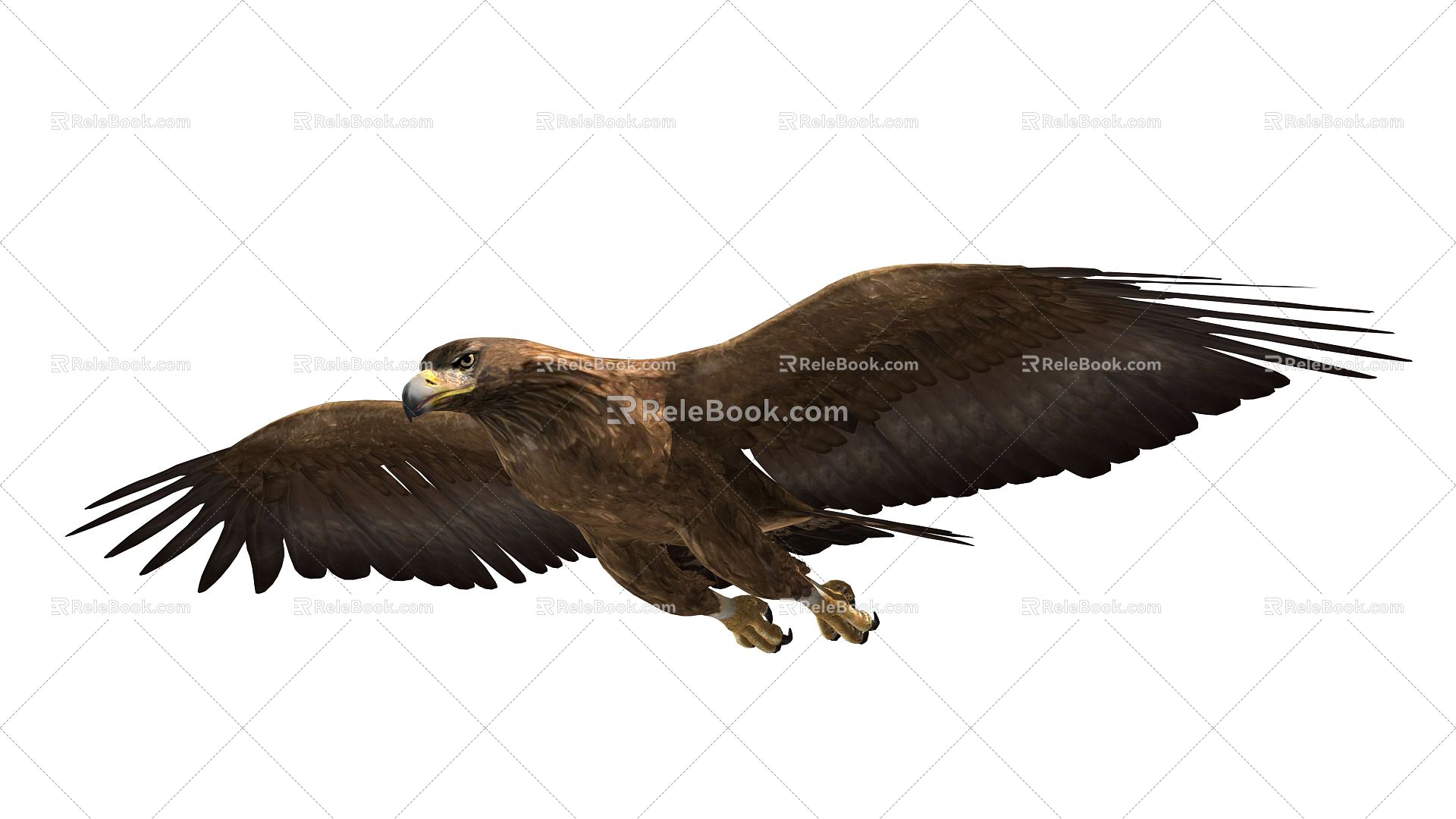 Modern Eagle Flying Eagle 3d model