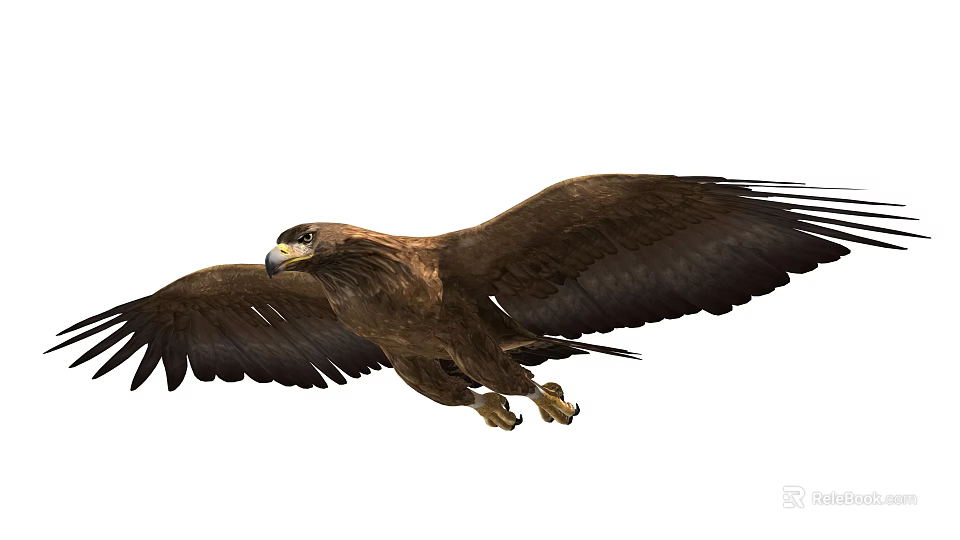 Majestic Flying Eagle With Spread Wings Detailed Feathers Soaring In White Background 3d model 