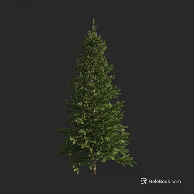 Tall Evergreen Arbor With Lush Green Foliage And Natural Trunk Structure 3d model 