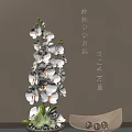 Elegant White Orchids In Vase With Green Leaves Decorative Bowl And Metal Balls