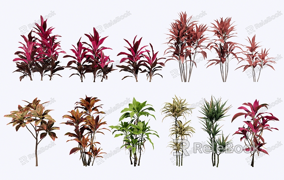 Modern Single Plant Variant Leaf Tree Jujuanthus Bamboo model