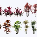 Modern Single Plant Variant Leaf Tree Jujuanthus Bamboo 3d model