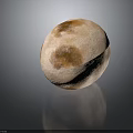 Oval Shaped Wood And Stone Decorative Piece In Beige With Brown Spots