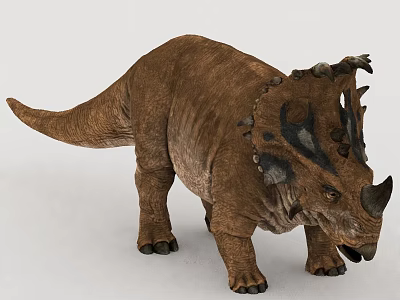 Realistic Triceratops Reptile 3D Model Featuring Brown Skin Horns Frill And Standing Posture 3d model