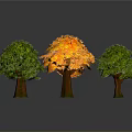 Three Arbor Trees With Orange Yellow Middle And Green Sides On Gray Background With Reflection