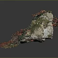 Cartoon Scene With Red Autumn Leaves Covered Ground Rock Moss And Green Plants