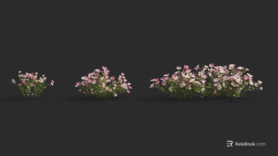 Pink and White Flower Clusters in Green Grass with Different Sizes 3d model