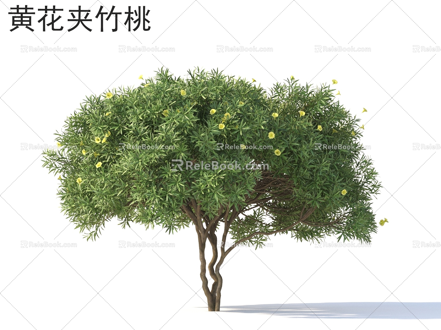 Yellow Flower Oleander Flower Grass Shrub Plants model