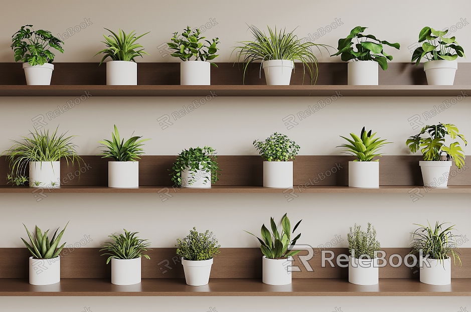 modern potted plant model