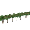 Lush Green Vine Covered Wooden Pergola With Support Posts And Leaves