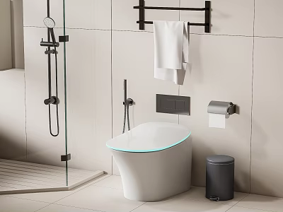 Modern White Toilet With Glass Shower White Towel Black Rack And Trash Bin In Bathroom 3d model