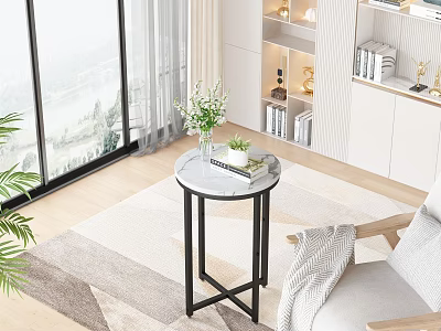 Modern Sofa and Round Marble Coffee Table Set with Green Plant Bookshelf and Area Rug 3d model