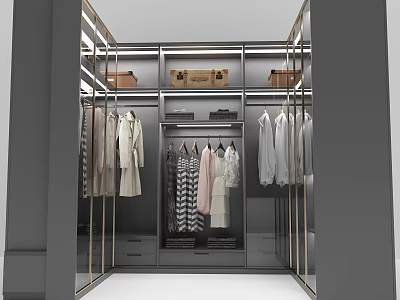 Elegant Modern Wardrobe Interior Design With Hanging Dresses Shirts And Storage Boxes 3d model
