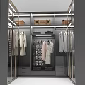 Elegant Modern Wardrobe Interior Design With Hanging Dresses Shirts And Storage Boxes
