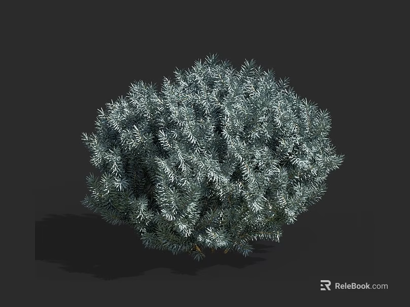 Green Shrub With Lush Foliage And Round Shape On Dark Background 3d model 