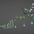 Stages Of Plant Growth Showing Seed Seedling Green Stems Leaves And Purple Flowers